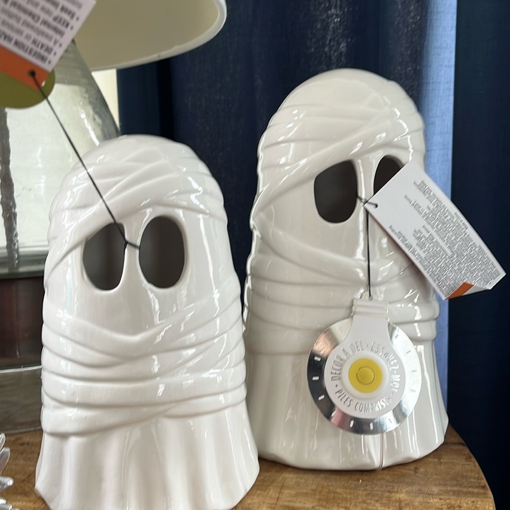 Goblins and ghouls, mommy ghosts, one large one small net great for Halloween